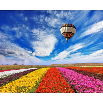 Autocolant Balon peste camp de flori 220 x 135 cm