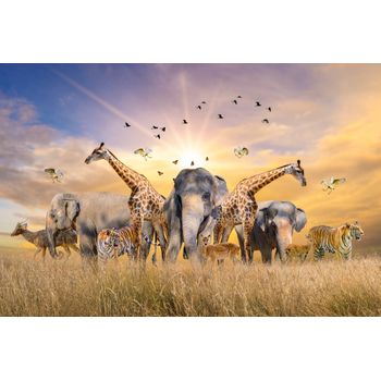 Fototapet Animal52 Elefant langa apa 300 x 200 cm