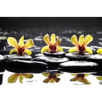 Fototapet Orhidee galbene cu pietre, 400 x 250 cm Blueback MAT imagine noua 2022