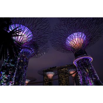 Autocolant Parc Singapore 2, 270 x 200 cm elefant.ro imagine noua 2022