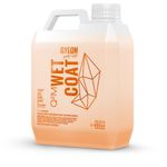 Sealant Auto Lichid Gyeon Q2M Wetcoat, 4 L fotografia produsului
