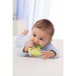 Inel gingival, Haba, Broscuta, 0luni+ fotografia produsului View 2 S