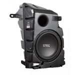 Subwoofer auto Steg dedicate Tesla MT9 fotografia produsului