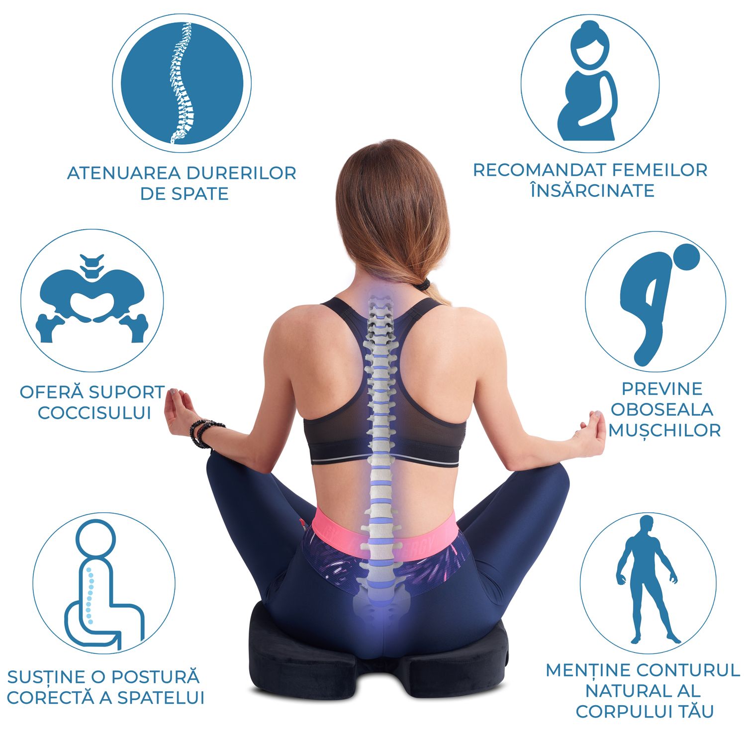 Perna Ortopedica Sezut Coccis pentru Scaun din Spuma cu Memorie fotografia produsului View 4 L