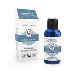 Ulei esential Winter, Optima Natura, 20 ml, pentru vreme rece fotografia produsului