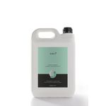 Balsamprofesional concentrat pentru par normal/uscat/degradat 5000 ml fotografia produsului