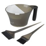 Set profesional pentru vopsit/decolorare/balayage cu 2 pensule + bol Globe fotografia produsului