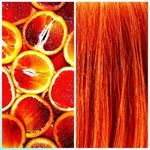 Oxidant crema Cece Color3 % &ndash; 1L cod. 2000. fotografia produsului View 9 S