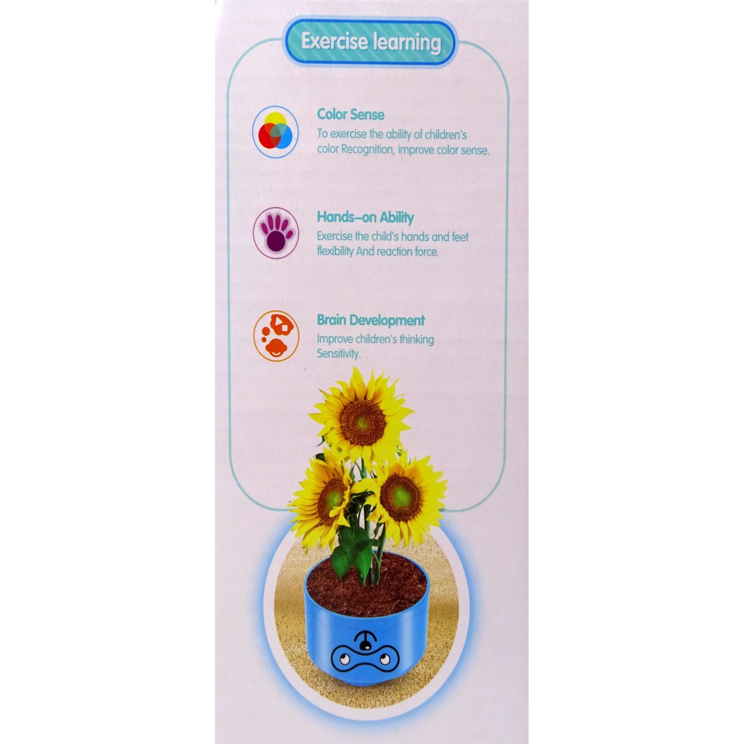 Set forme pentru nisip, 5 piese, multicolor fotografia produsului View 4 L
