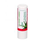 Balsam de buze cu rosa mosqueta - Bioearth 7ml fotografia produsului