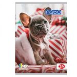 Caiet A5 Tip I, 24 file, NEBO Premium, 80g fotografia produsului View 3 S