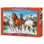Puzzle 2000 Pcs - Castorland fotografia produsului View 2 S