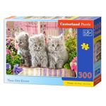Puzzle 300 Pcs premium - Castorland fotografia produsului