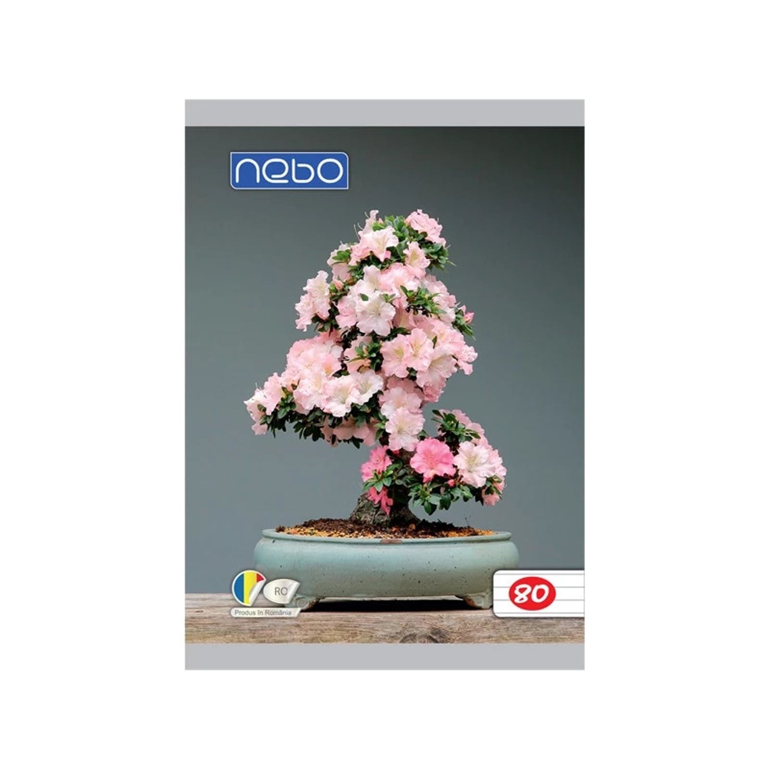 Caiet A5 80 file cu spira DR - NEBO fotografia produsului View 3 L
