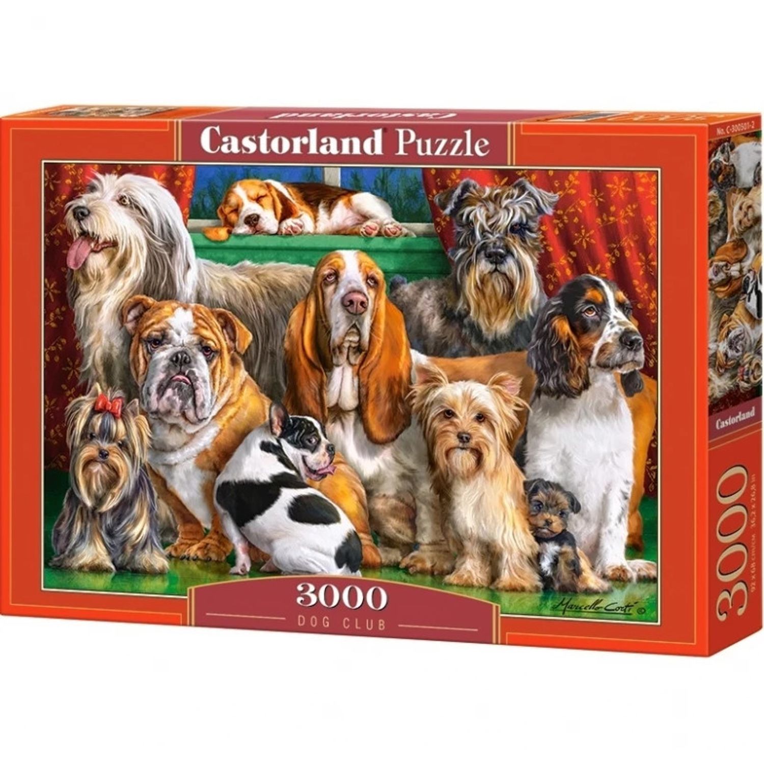 Puzzle 3000 Pcs - Castorland fotografia produsului View 3 L