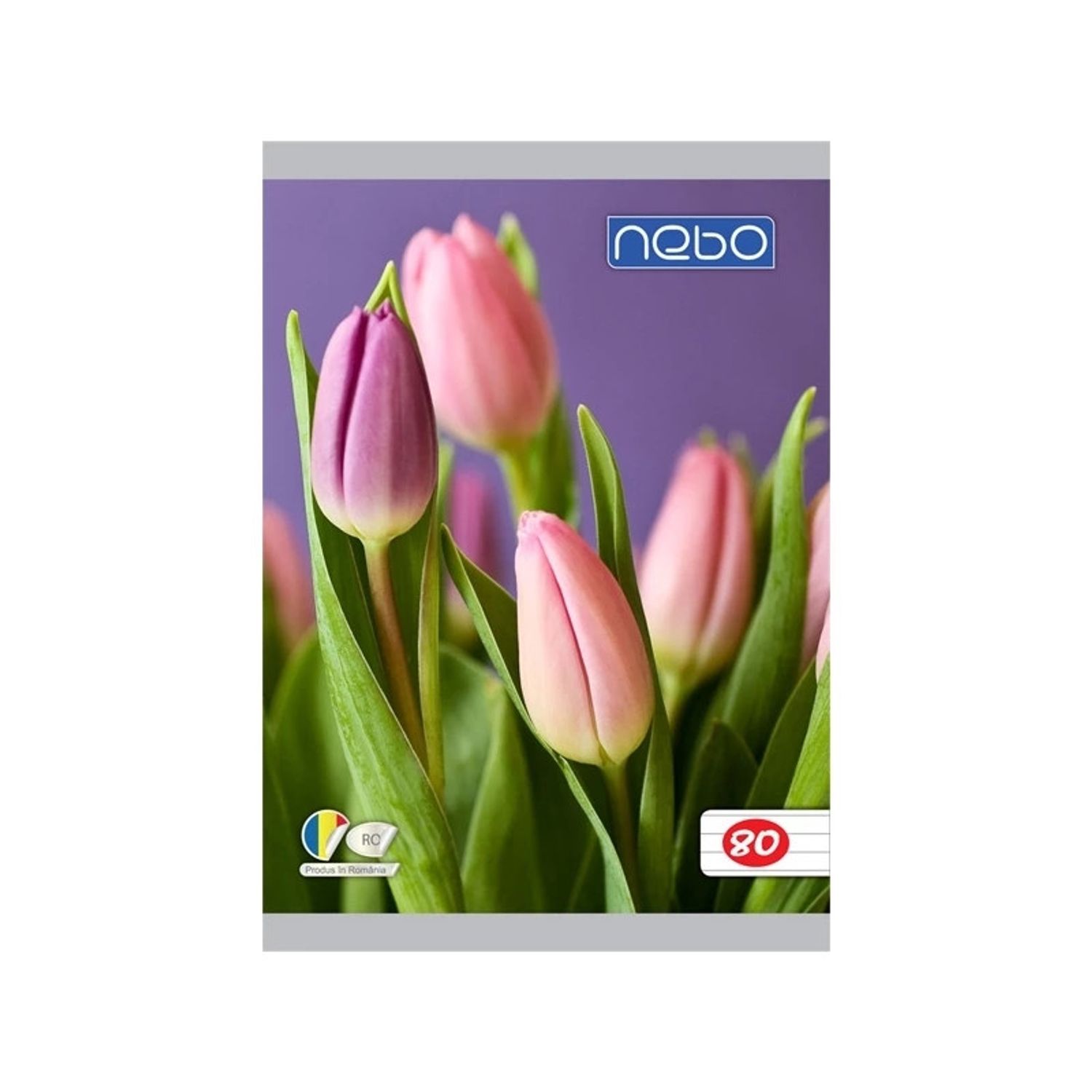 Caiet A5 80 file DR - NEBO fotografia produsului View 8 L