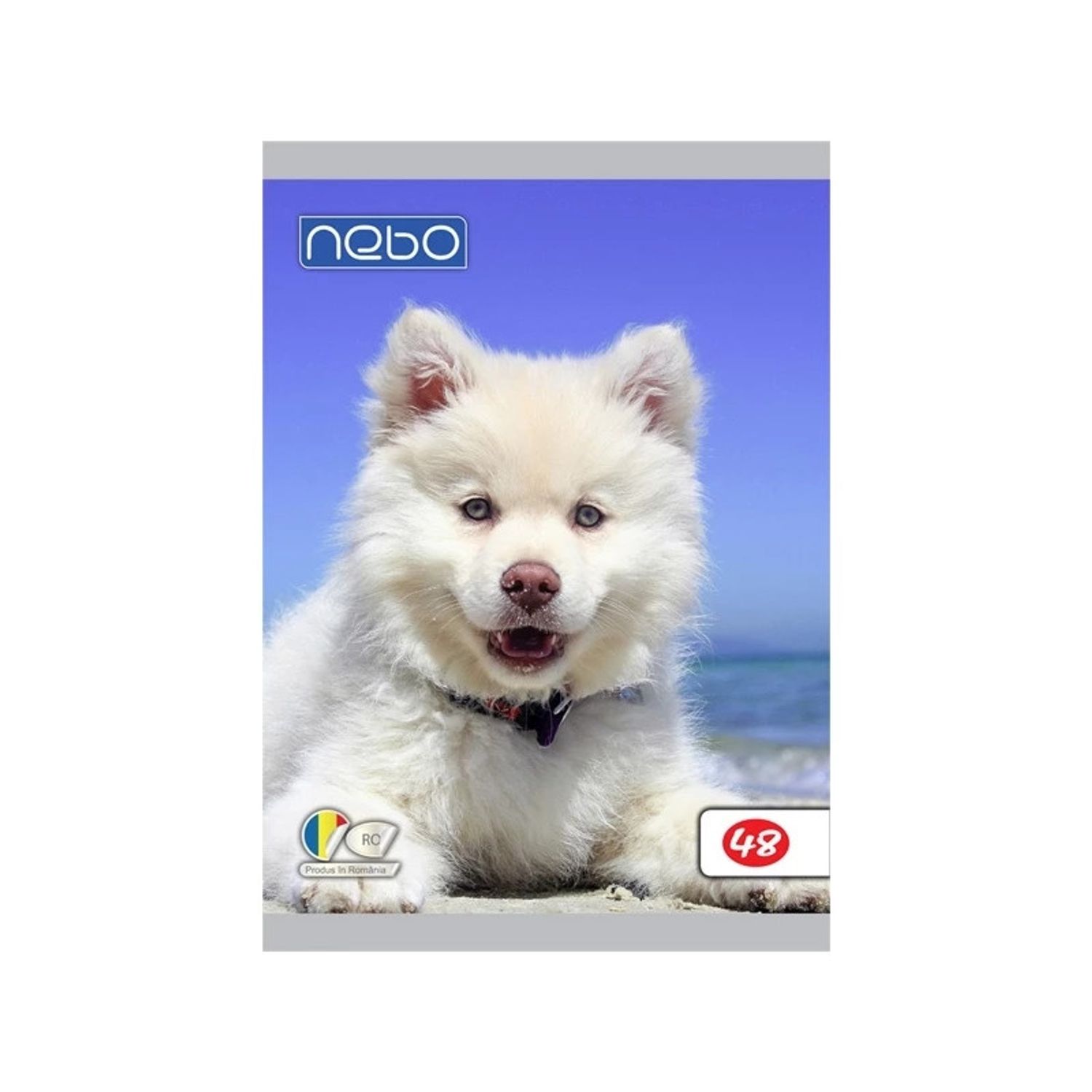 Caiet A5 48 file foi veline - NEBO fotografia produsului View 2 L