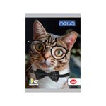 Caiet A5 48 file foi veline - NEBO fotografia produsului View 3 S