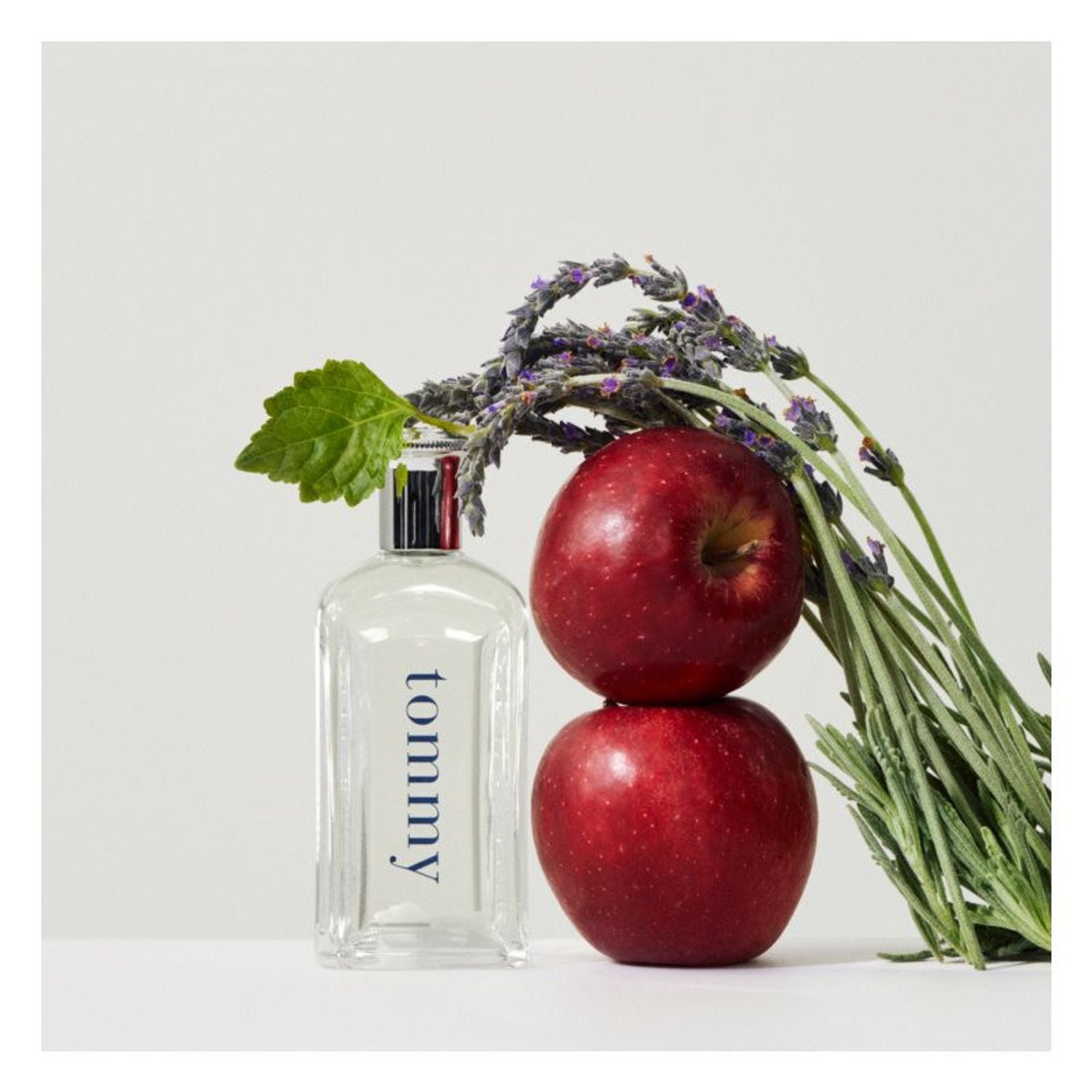 Apa de toaleta Tommy Hilfiger Tommy, 50 ml, pentru barbati fotografia produsului View 3 L