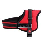 Ham pentru caini, Pet Dog Senior, Gonga fotografia produsului View 2 S