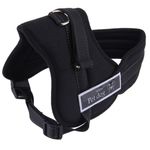 Ham pentru caini, Pet Dog Senior, Gonga fotografia produsului