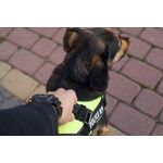 Ham pentru caini Police K9, marimea M, 55-65 cm fotografia produsului View 7 S