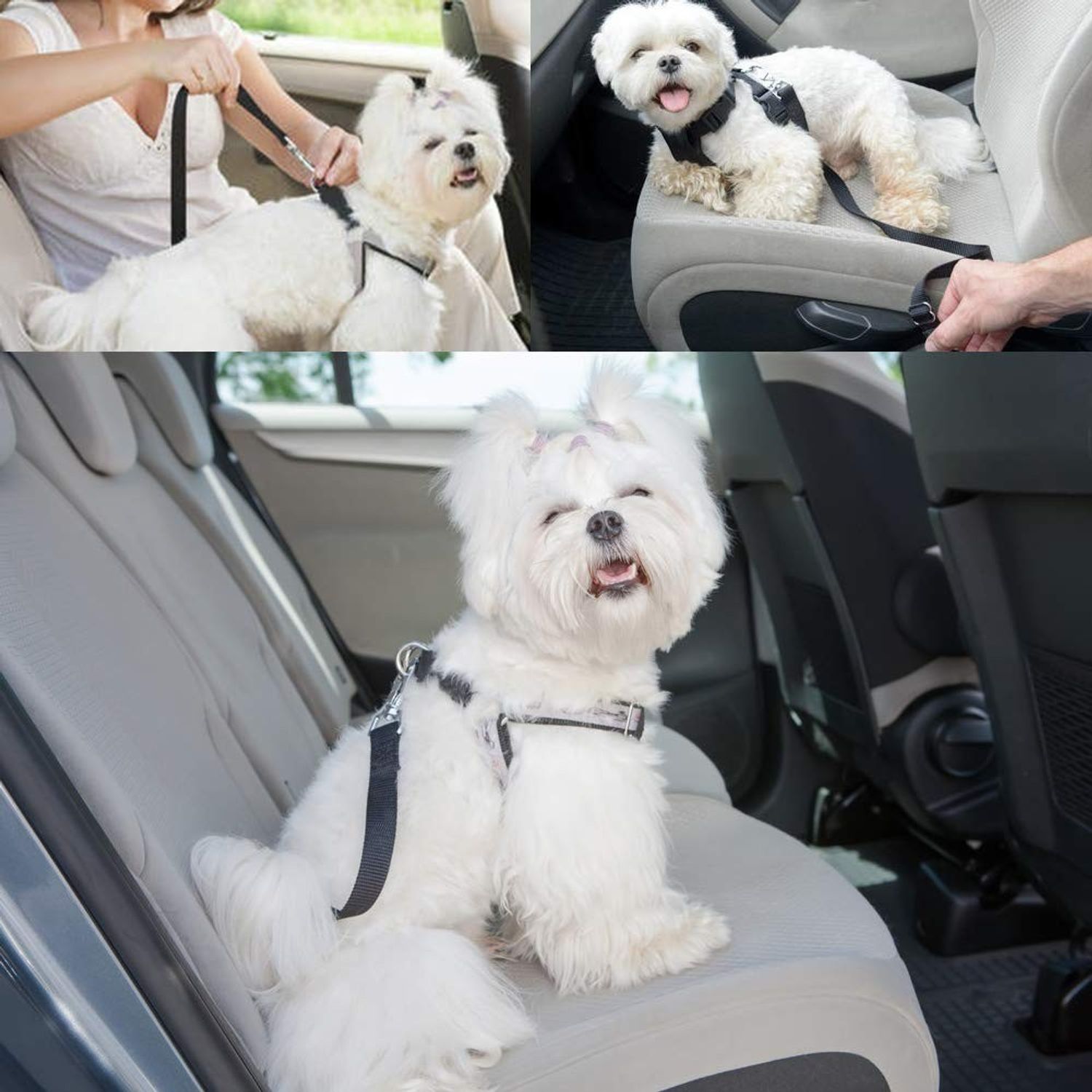 Lesa centura de siguranta auto pentru animale de companie fotografia produsului View 4 L