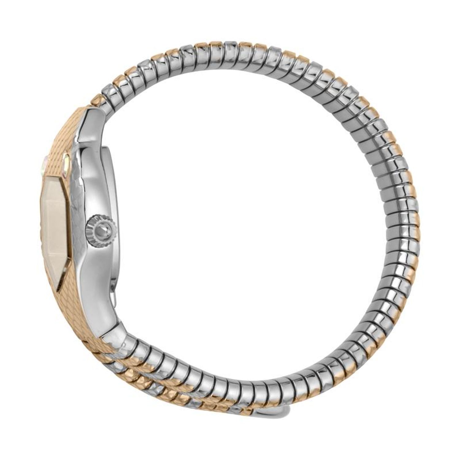 Ceas Dama, JUST CAVALLI TIME SNAKE JC1L177M0065 fotografia produsului View 3 L