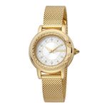 Ceas Dama, Just Cavalli, Glam Chic JC1L151M0535 fotografia produsului