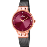 Ceas Dama, FESTINA, Mademoiselle cu Cristale F20599/2 fotografia produsului