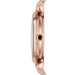 Ceas Dama, EMPORIO ARMANI, Gianni AR11145 fotografia produsului View 4 S