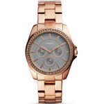 Ceas Dama, FOSSIL JANICE BQ3418 fotografia produsului