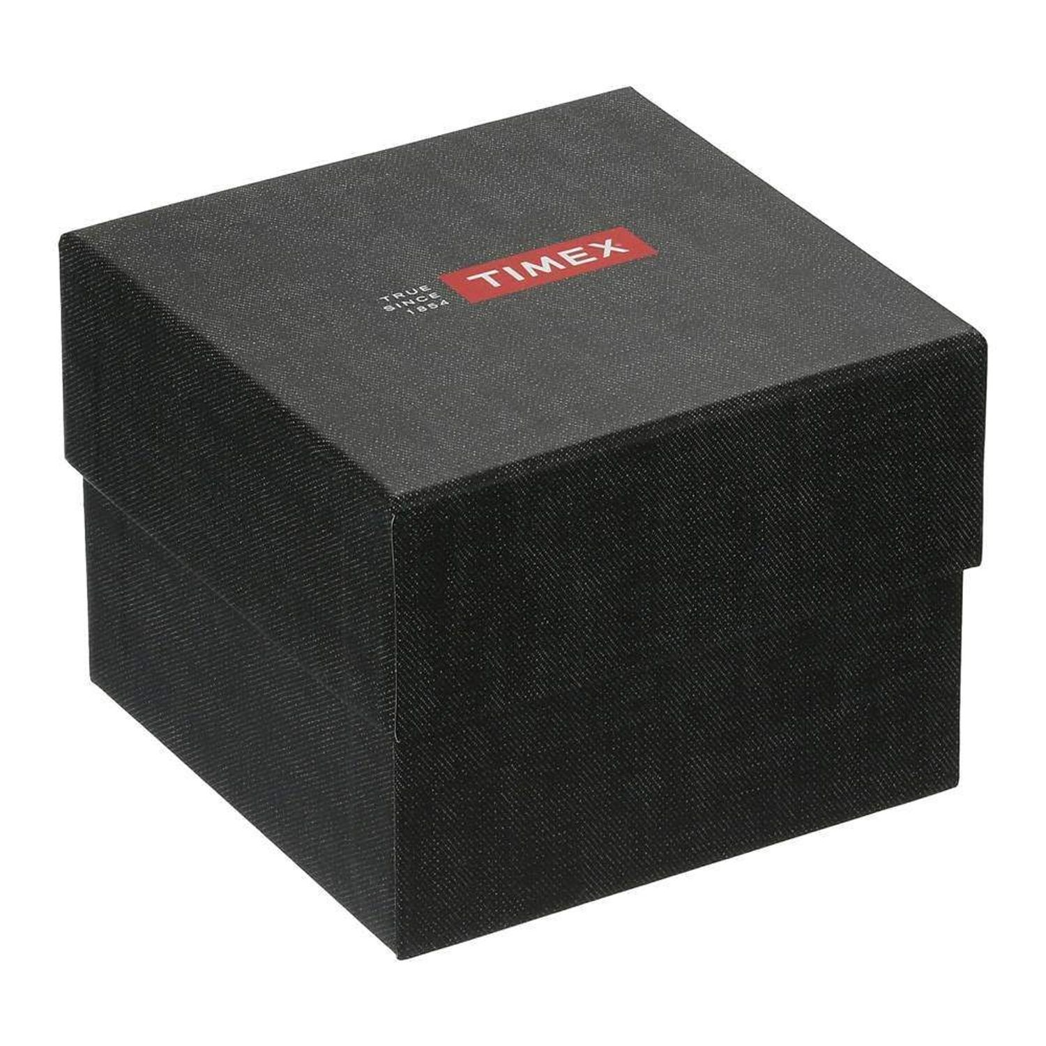 Ceas TIMEX ARCHIVE Model WATERBURY TW2U01300LG fotografia produsului View 2 L