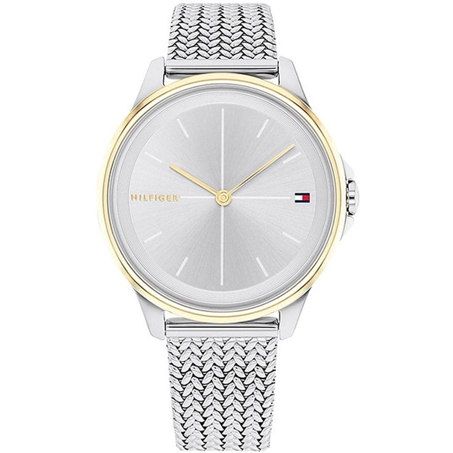 Ceas Dama, Tommy Hilfiger, Delphine 1782357 fotografia produsului