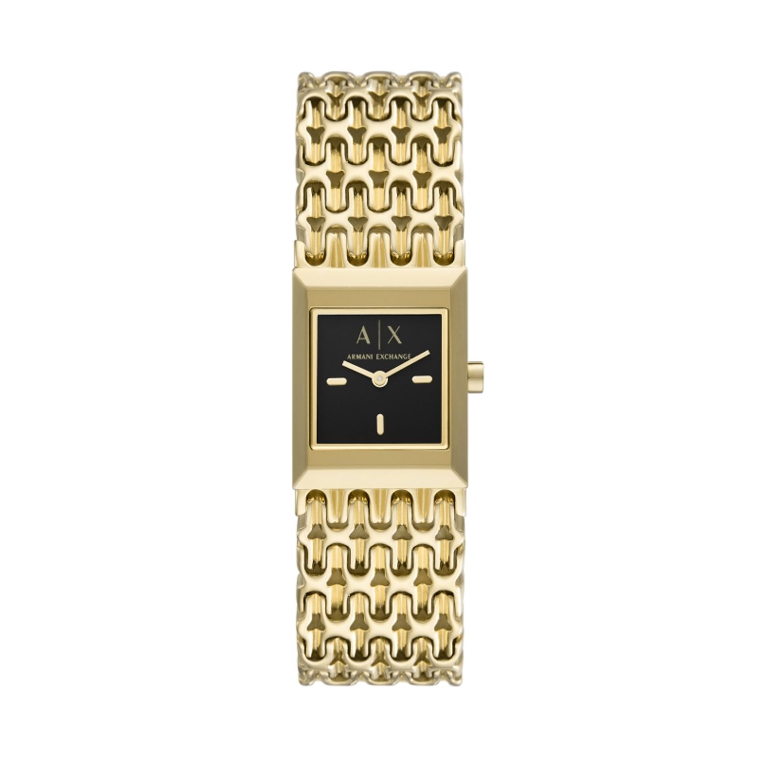 Ceas Dama, ARMANI EXCHANGE, Ladies AX5909 fotografia produsului