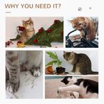 PawHut centru activitati cu tub si minge, pentru pisici, bej fotografia produsului View 7 S