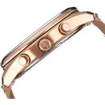 Ceas Dama, Michael Kors, Briar MK6465 fotografia produsului View 3 S
