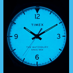 Ceas dama, TIMEX, Colectie WATERBURY TW2T49200 fotografia produsului View 6 S