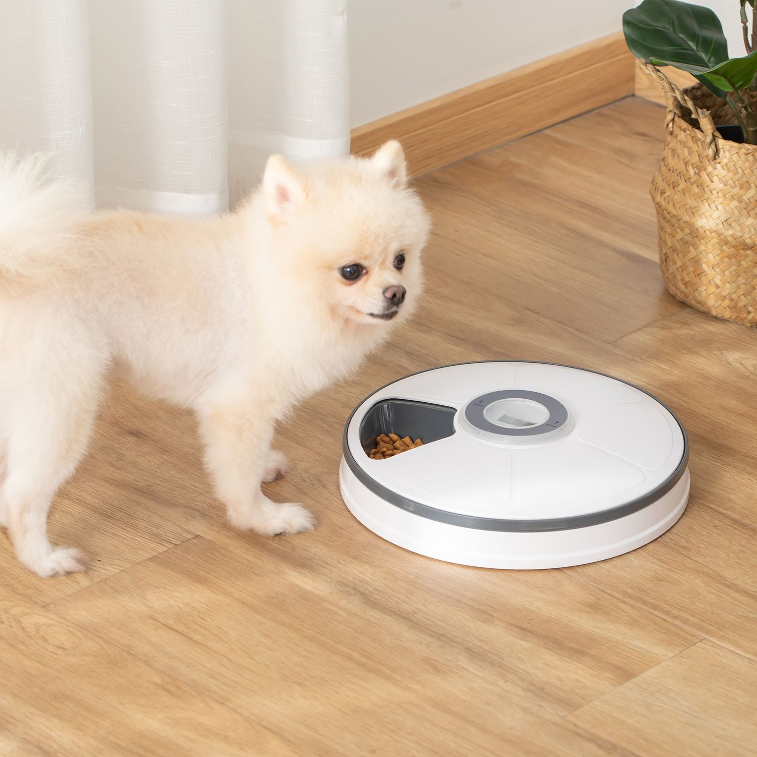 PawHut distribuitor automat alimente animale, afisaj LED fotografia produsului