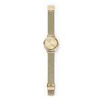 Ceas Dama, Skagen Denmark, Horizont SKW2986 fotografia produsului View 5 S
