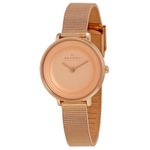 Ceas Dama SKAGEN DITTE SKW2213 fotografia produsului