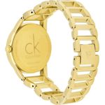 Ceas Dama, Calvin Klein, Stately K3G2352W fotografia produsului View 4 S