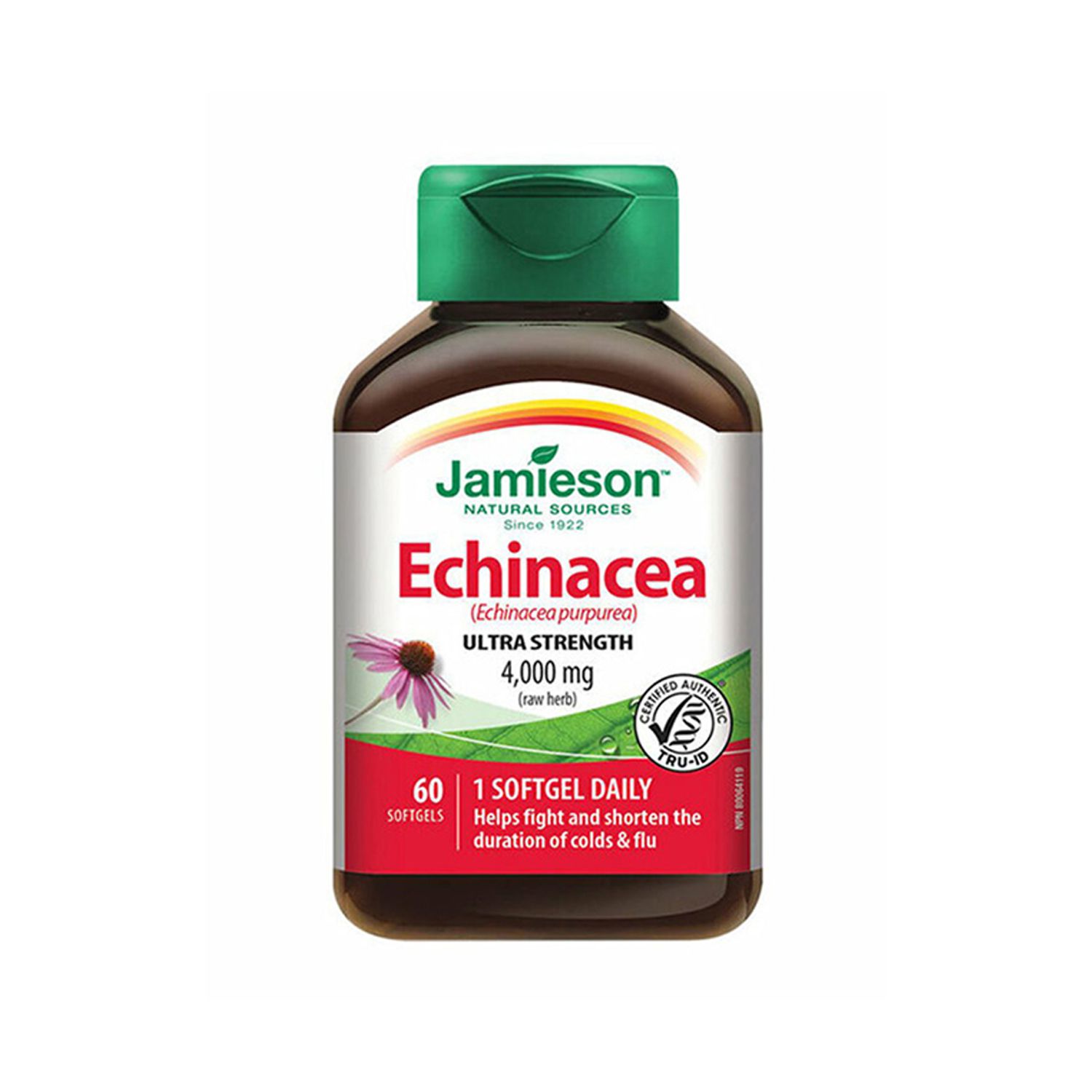 Echinaceea forte x 60cps, Jamieson fotografia produsului