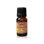 Ulei esential de Fenicul, Foeniculum Vulgare, 10 ml,  Ancient Wisdom fotografia produsului