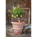 Ghiveci ceramic, Vaso imprunetino Liscio 40 cm fotografia produsului View 2 S
