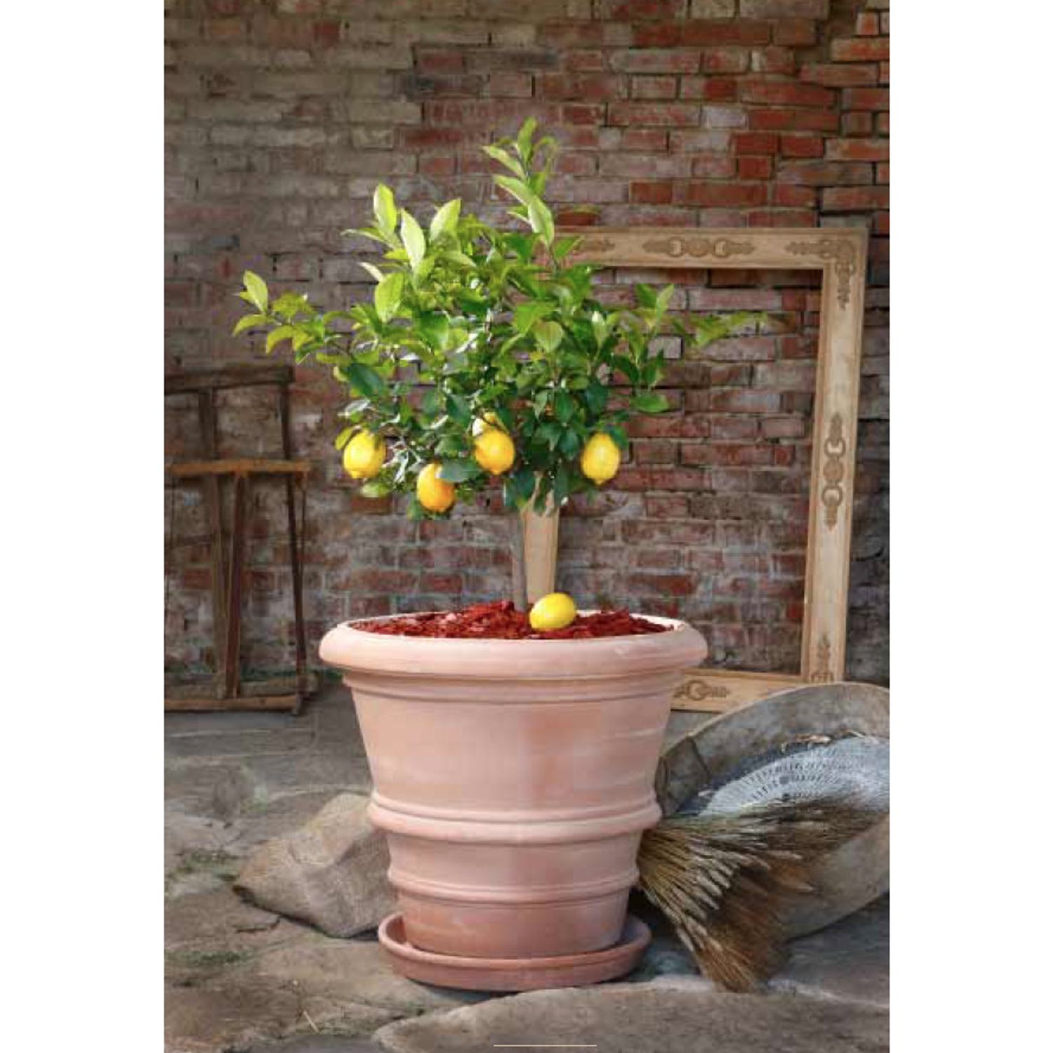 Ghiveci ceramic, Vaso imprunetino Liscio 40 cm fotografia produsului View 2 L
