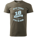 Tricou pentru barbati , personalizat "Mi-au trebuit 18 ani sa arat asa de bine ", Kaki , marimea XL Tricou pentru barbati , personalizat Mi-au trebuit 18 ani sa arat asa de bine , Kaki , marimea XL fotografia produsului