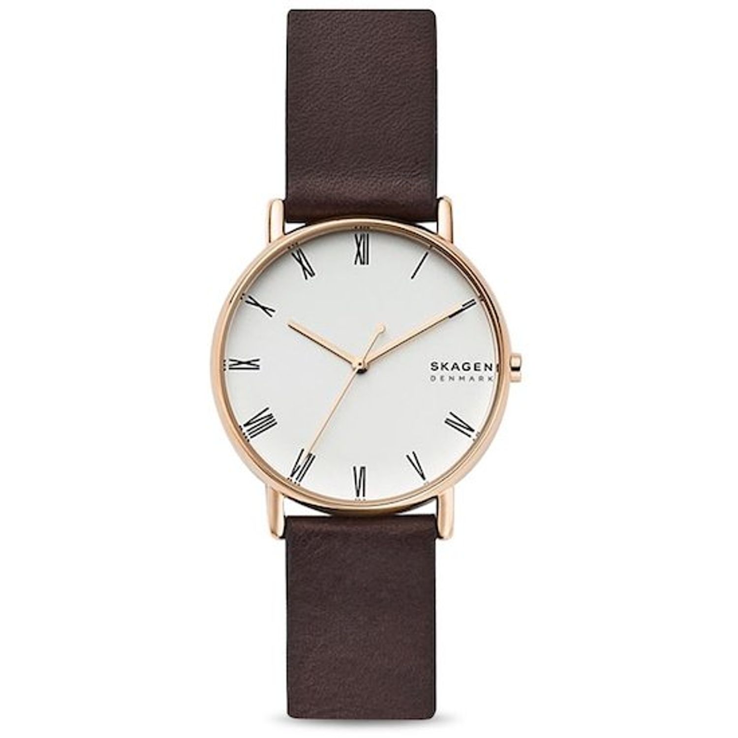 Ceas Barbati SKAGEN SIGNATUR SKW6493 fotografia produsului