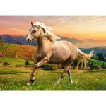 Puzzle Trefl 500 Cal La Galop In Asfintit fotografia produsului View 2 S