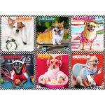 Puzzle Trefl - Cateii fericiti, 200 piese fotografia produsului View 2 S
